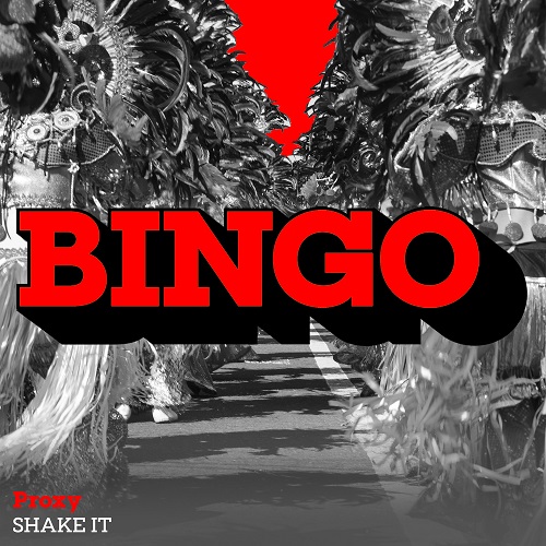 PROXY - Shake It (Original Mix) Bingo Bass.mp3