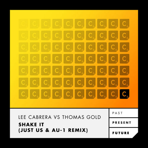 Lee Cabrera vs Thomas Gold feat. Tara McDonald - Shake It (Just Us & Au-1 Remix).mp3