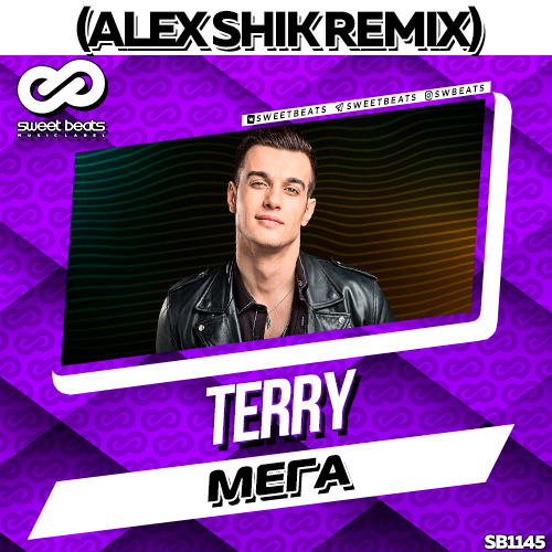 Terry -  (Alex Shik Remix).mp3