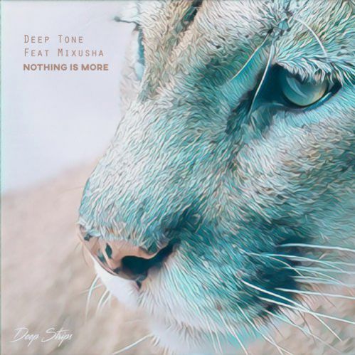 Deep Tone Feat. Mixusha - Nothing Is More (Original Mix).mp3