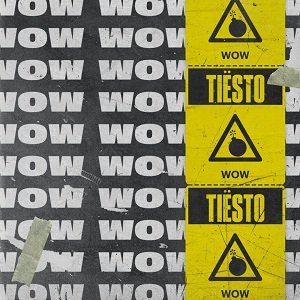 Tiësto - Wow (Original Mix).mp3
