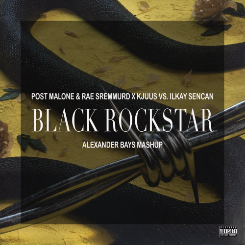 Post Malone & Rae Sremmurd x Kjuus vs. Ilkay Sencan - Black Rockstar (Alexander Bays Mashup) [2018]