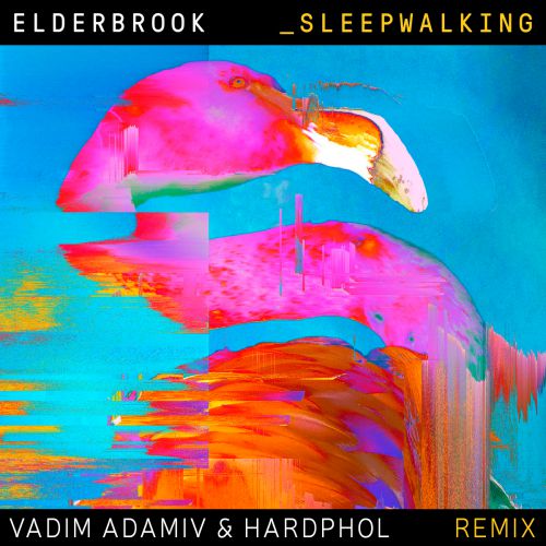 Elderbrook - Sleepwalking (Vadim Adamov & Hardphol Remix) [2018]