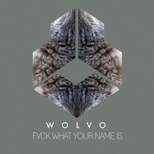 Wolvo - Fvck What Your Name Is (Extended Mix) [Darklight Recordings].mp3