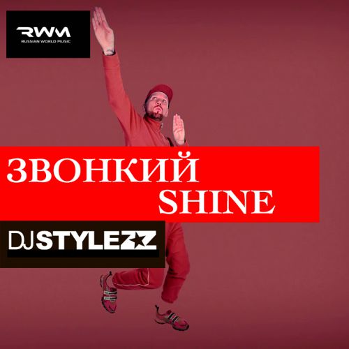  - Shine (Stylezz Remix) [2019]