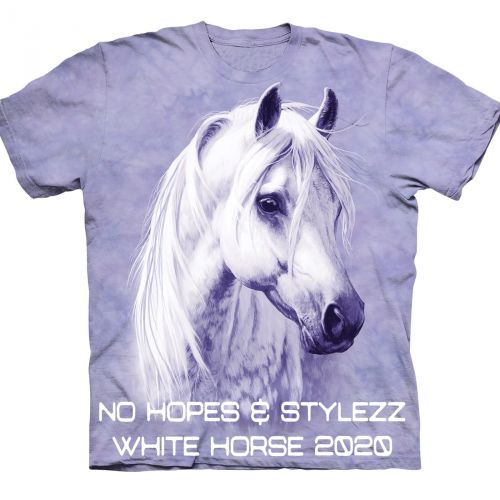 No Hopes , Stylezz - White Horse 2020 (Extended Mix).mp3