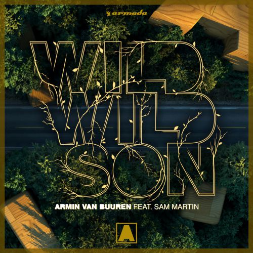 Armin van Buuren feat. Sam Martin -  Wild Wild Son (Original Mix).mp3