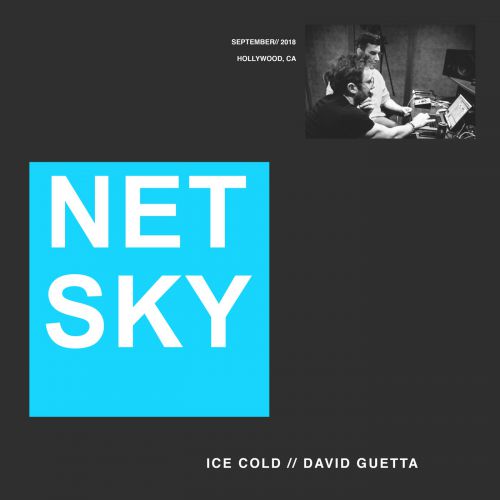 Netsky & David Guetta - Ice Cold [Republic Records].mp3