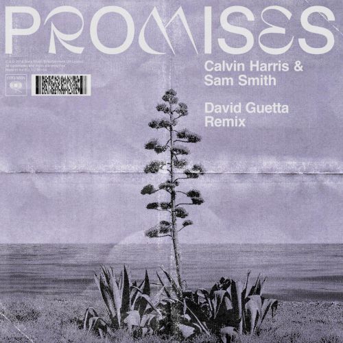 Calvin Harris & Sam Smith - Promises (David Guetta Extended Remix) [2018]
