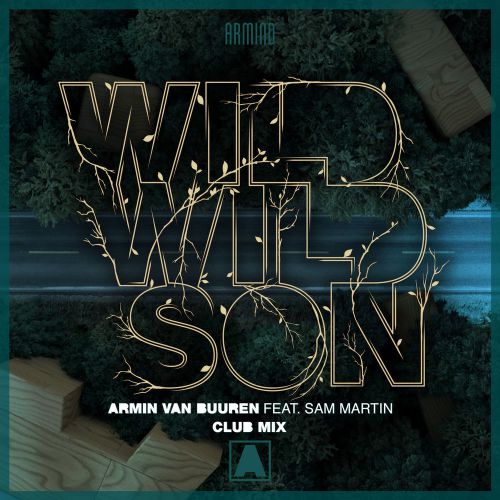 Armin Van Buuren feat. Sam Martin - Wild Wild Son (Club Mix) [Armind].mp3