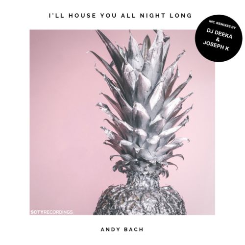 Andy Bach - I'll House You All Night Long (Dub Mix) [Scty].mp3