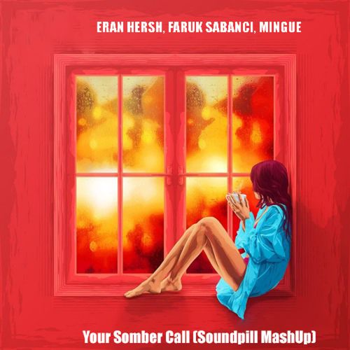 Eran Hersh x Faruc Sabanci x Mingue - Your Somber Call (Soundpill Mashup) [2018]