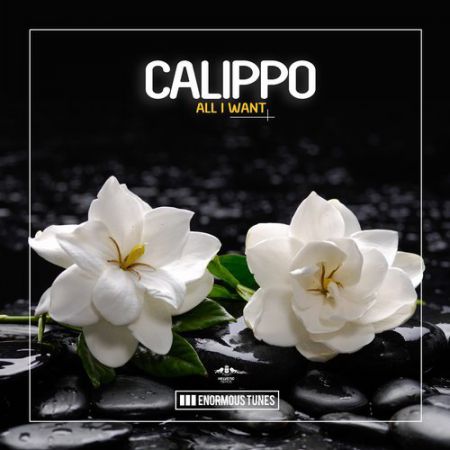 Calippo - All I Want (Original Club Mix) [Enormous Tunes].mp3