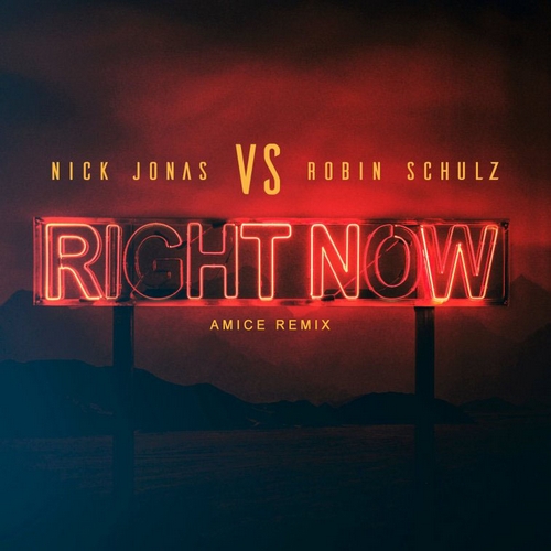 Nick Jonas & Robin Schulz - Right Now (Amice Remix).mp3