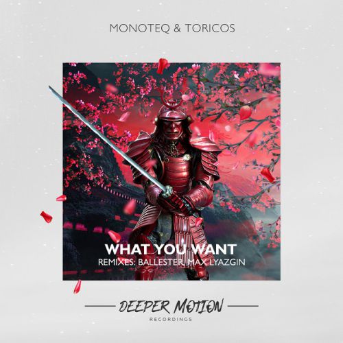 Monoteq & Toricos - What You Want (Max Lyazgin Remix).mp3