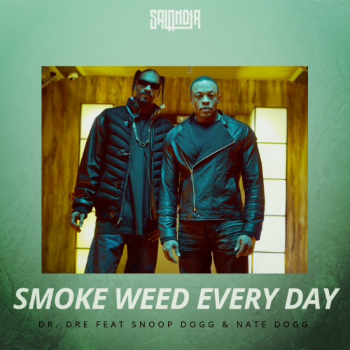 Dr. Dre Feat Snoop Dogg & Nate Dogg x Alex Marvel - Smoke Weed Every Day (SAlANDIR Extended Edit).mp3