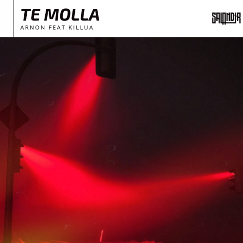 Arnon feat. Killua x Mike Williams - Te Molla (SAlANDIR Radio Version).mp3