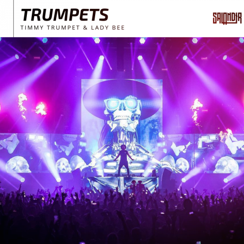 Timmy Trumpet & Lady Bee x Dr Phunk - Trumpets (SAlANDIR Extended Edit).mp3
