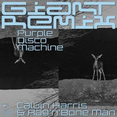 Calvin Harris, Rag'n'Bone Man - Giant (Purple Disco Machine Extended Remix).mp3