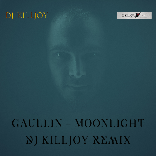 Gaullin - Moonlight (Dj Killjoy Remix).mp3