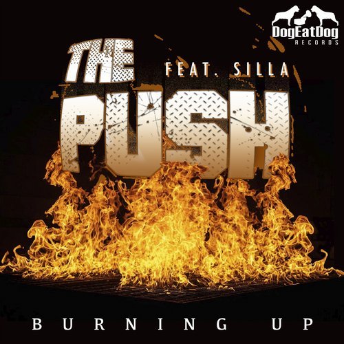 The Push feat. Silla - Burning Up (Original Mix) [2019]