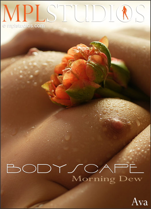 Ava Bodyscape - Morning Dew - 32 pictures - 3000px (21 Feb, 2015)