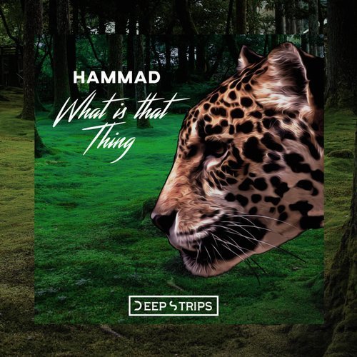 Hammad - What Is That Thing (Original Mix).mp3