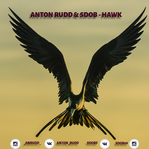 ANTON RUDD & SDOB - HAWK (Extended Mix) [2019].mp3