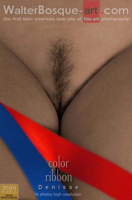 Denisse - Ribbon Colors - 76 images