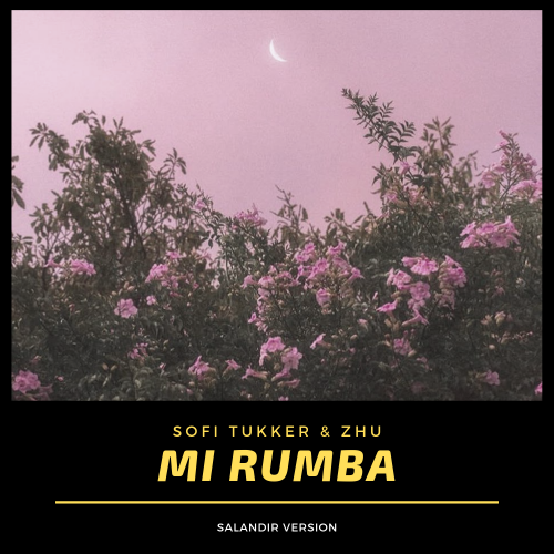 Sofi Tukker & ZHU x MIJAST - Mi Rumba (SAlANDIR Extended Version).mp3