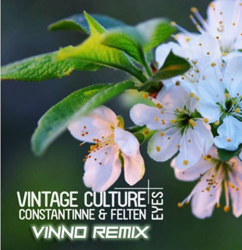 Vintage Culture, Constantinne, Felten - Eyes (Vinno Remix).mp3