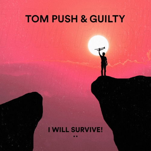 Gloria Gaynor - I Will Survive! (Tom Push & Guilty Remix).mp3