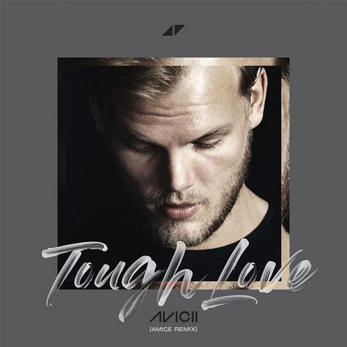 Avicii feat Agnes & Vargas & Lagola - Tough Love (Amice Remix).mp3