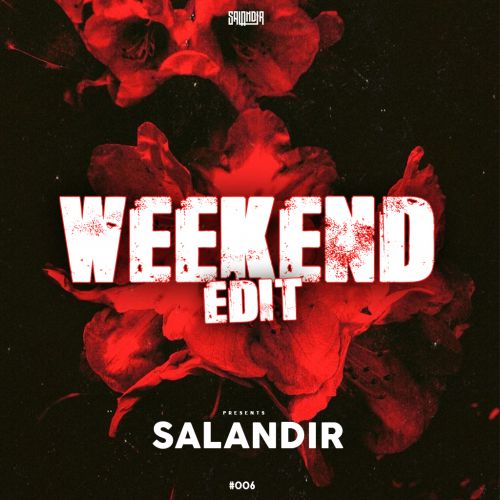 Dead Or Alive x Rakurs - You Spin Me Round (SAlANDIR Extended Version).mp3