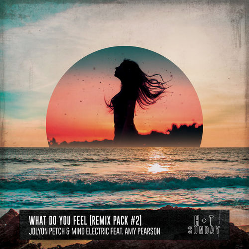 Jolyon Petch, Mind Electric, Amy Pearson, Steve Hart - What Do You Feel (Steve Hart Remix) [Hot Sunday Records].mp3