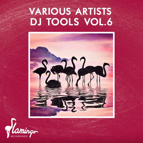 Flamingo DJ Tools Vol. 6 [2019]