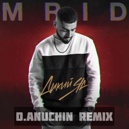 MriD   (D. Anuchin Remix).mp3