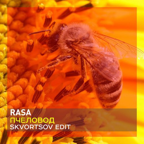 Rasa -  (Skvortsov Edit) [2019]