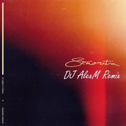 Shawn Mendes & Camila Cabello -  Señorita (DJ Alexm Remix) [2019]