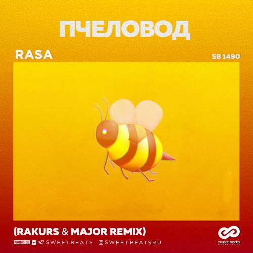 RASA -  (Rakurs & Major Radio Edit).mp3