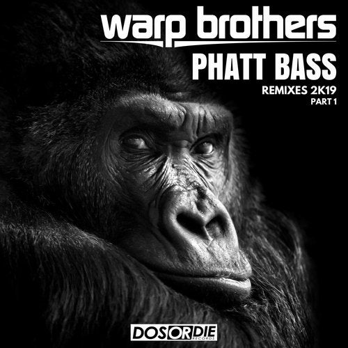 Warp Brothers - Phatt Bass (David Novacek Extended Remix).mp3