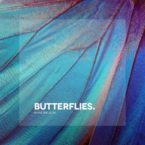 Boris Brejcha - Butterflies (Extended Mix).mp3