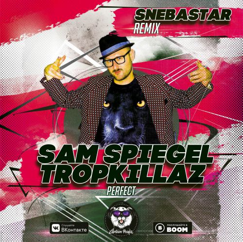 Sam Spiegel & Tropkillaz - Perfect (Snebastar Remix).mp3