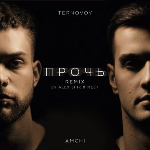 TERNOVOY feat. AMCHI -  (Alex Shik & Meet Remix).mp3