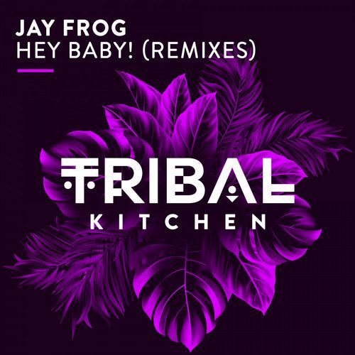 Jay Frog - Hey Baby! (No Hopes Remix).mp3