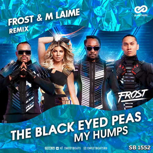 The Black Eyed Peas - My Humps (Frost & M Laime Radio Edit).mp3