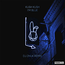 Kush Kush - I´m Blue (DJ Zhuk Extended Remix).mp3