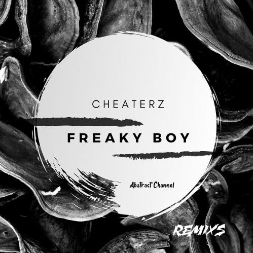 Cheaterz - Freaky Boy (Binayz Remix) [Abstract Channel].mp3