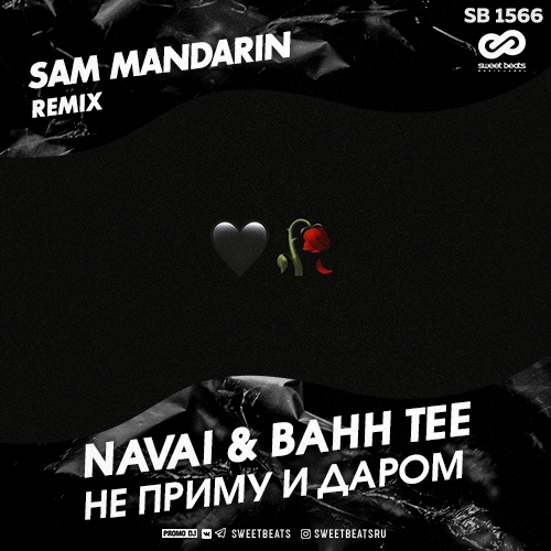 Navai & Bahh Tee -     (Sam Mandarin Radio Edit).mp3