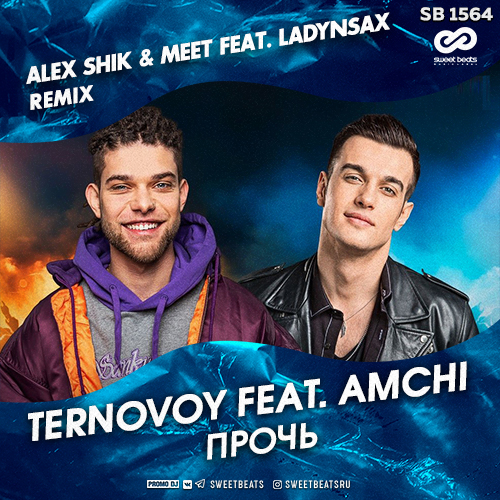 TERNOVOY feat. AMCHI -  (Alex Shik & Meet Feat. Ladynsax Radio Edit).mp3